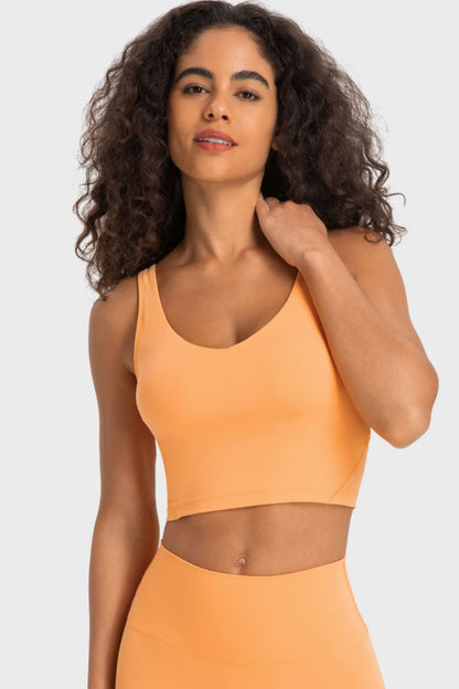 Millennia Deep V-Neck Crop Sports Bra